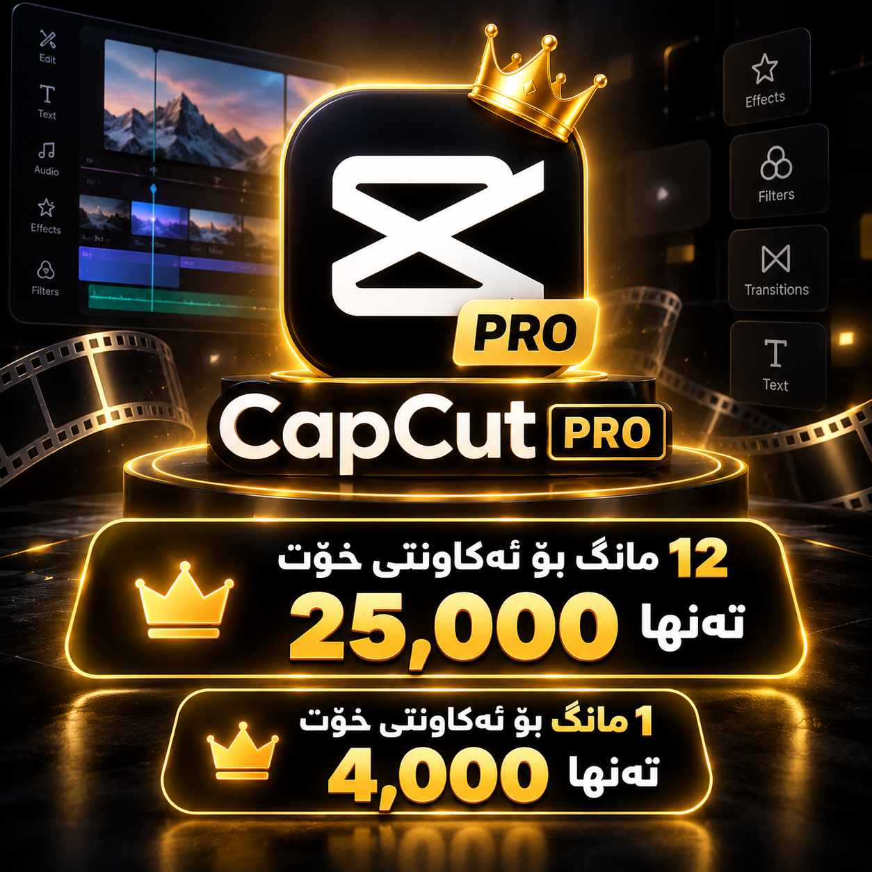 CapCut Pro